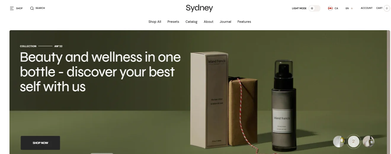Sydney Theme: Best For Sticky cart